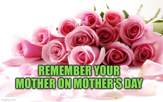 Remember your mother on Mother's Day | REMEMBER YOUR MOTHER ON MOTHER'S DAY | image tagged in flowers,autism,mothers day,celebration | made w/ Imgflip meme maker