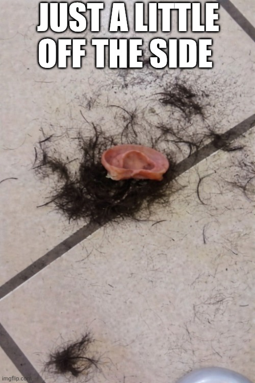 Just A Little Off The Side | JUST A LITTLE OFF THE SIDE | image tagged in chrisjoines1 | made w/ Imgflip meme maker