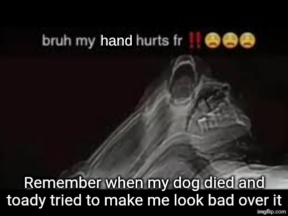my hand hurts fr | Remember when my dog died and toady tried to make me look bad over it | image tagged in my hand hurts fr | made w/ Imgflip meme maker