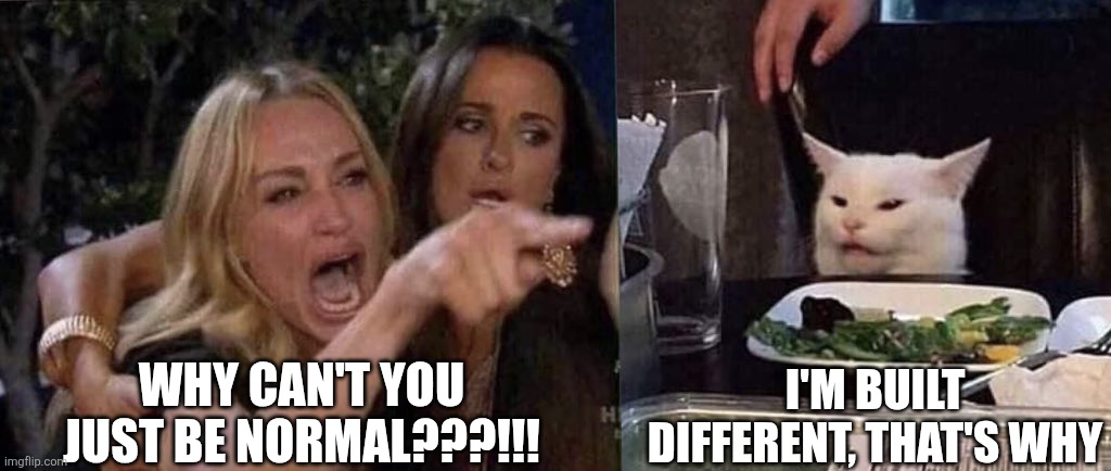 That Lion Food was Invigorating | WHY CAN'T YOU JUST BE NORMAL???!!! I'M BUILT DIFFERENT, THAT'S WHY | image tagged in woman yelling at cat | made w/ Imgflip meme maker