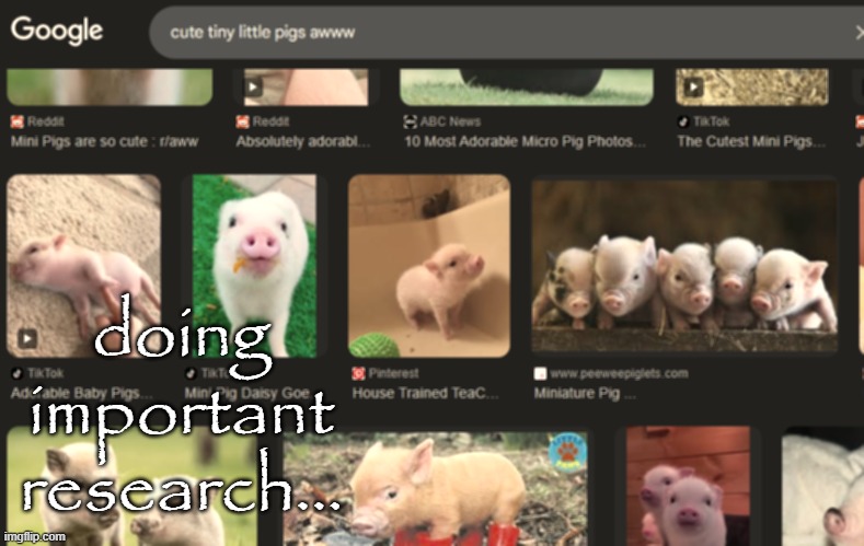 doing important research... | made w/ Imgflip meme maker