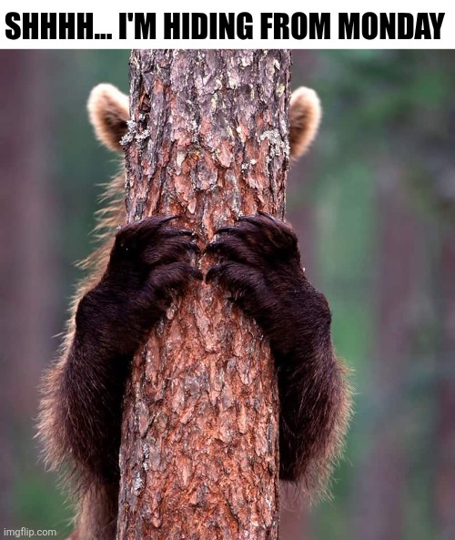 Shhhh... I'm Hiding From Monday | SHHHH... I'M HIDING FROM MONDAY | image tagged in chrisjoines1 | made w/ Imgflip meme maker