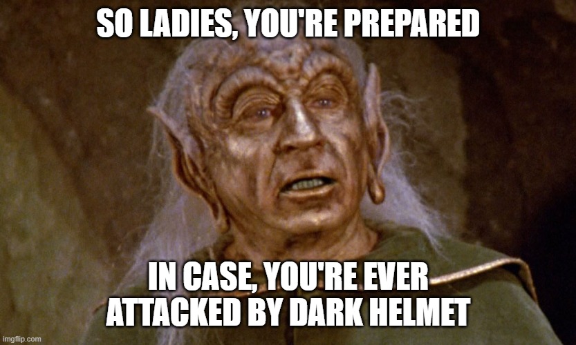Spaceballs Yogurt | SO LADIES, YOU'RE PREPARED IN CASE, YOU'RE EVER ATTACKED BY DARK HELMET | image tagged in spaceballs yogurt | made w/ Imgflip meme maker