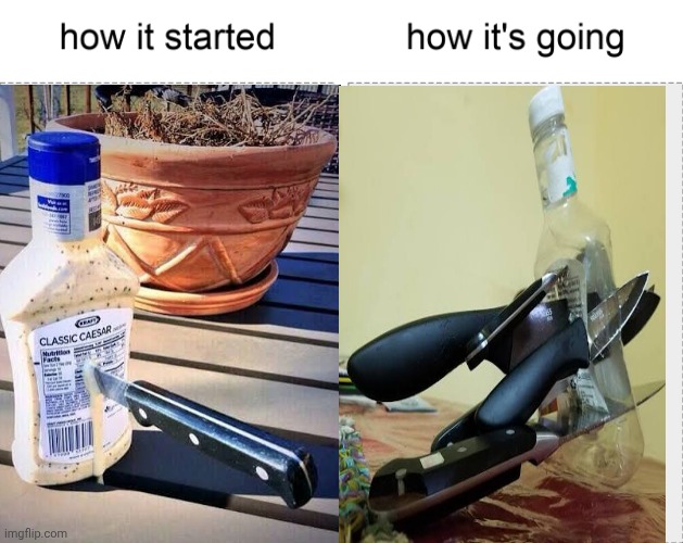 How goes your Ides of March? | image tagged in how it started vs how it's going | made w/ Imgflip meme maker