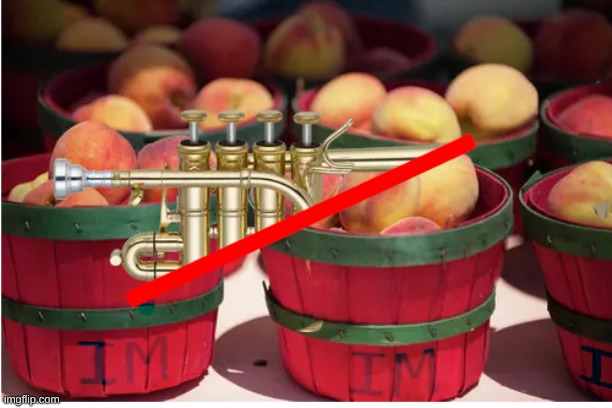 It means nothing but my love for peaches and half trumpets. | image tagged in weird humor | made w/ Imgflip meme maker