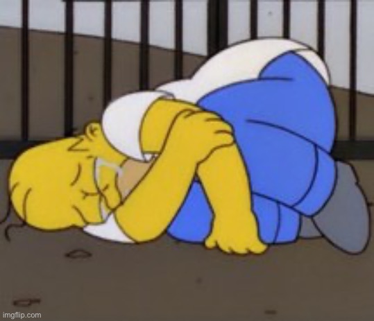 Homer upset | image tagged in homer upset | made w/ Imgflip meme maker