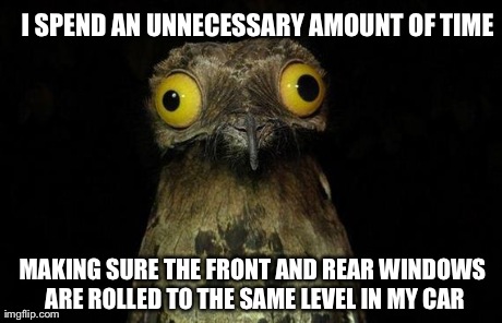 Weird Stuff I Do Potoo Meme | I SPEND AN UNNECESSARY AMOUNT OF TIME MAKING SURE THE FRONT AND REAR WINDOWS ARE ROLLED TO THE SAME LEVEL IN MY CAR | image tagged in memes,weird stuff i do potoo | made w/ Imgflip meme maker