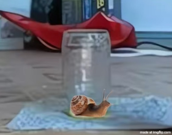 guys i caught the immortal snail what should i do with it | made w/ Imgflip meme maker