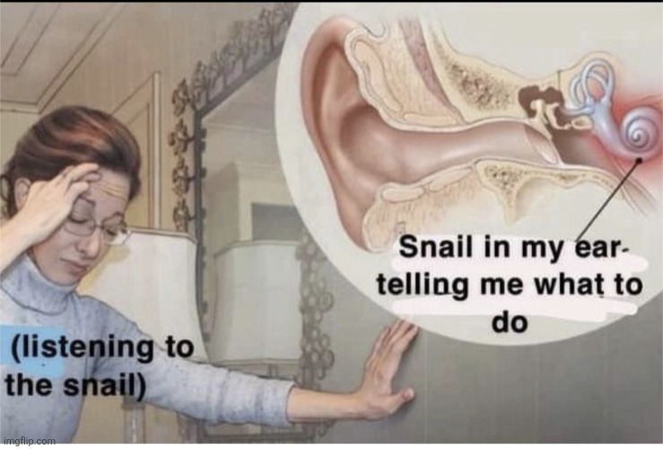 Snail in my ear | image tagged in snail in my ear | made w/ Imgflip meme maker