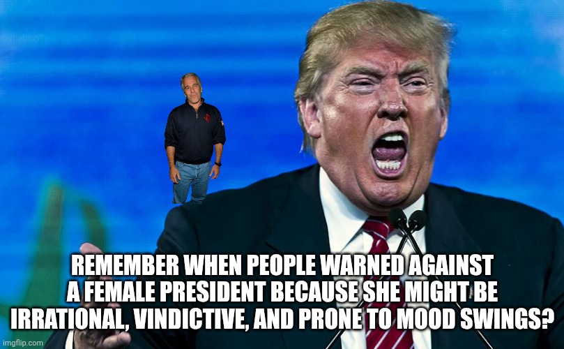 Unfit to Serve | REMEMBER WHEN PEOPLE WARNED AGAINST A FEMALE PRESIDENT BECAUSE SHE MIGHT BE IRRATIONAL, VINDICTIVE, AND PRONE TO MOOD SWINGS? | image tagged in angry trump,donald trump,trump unfit unqualified dangerous,maga,blue wave | made w/ Imgflip meme maker