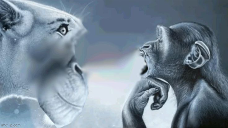 Bait raging | image tagged in bait raging | made w/ Imgflip meme maker