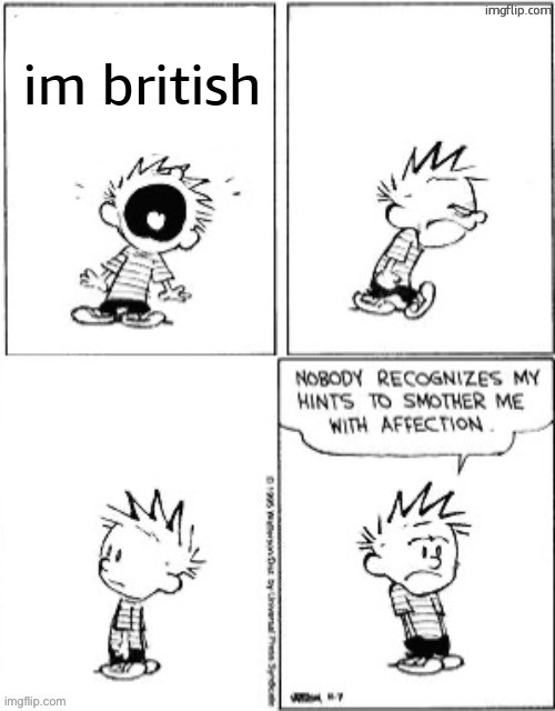 Nobody Recognizes My Hints To Smother Me With Attention | im british | image tagged in nobody recognizes my hints to smother me with attention | made w/ Imgflip meme maker