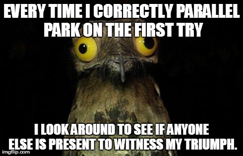 Weird Stuff I Do Potoo | EVERY TIME I CORRECTLY PARALLEL PARK ON THE FIRST TRY I LOOK AROUND TO SEE IF ANYONE ELSE IS PRESENT TO WITNESS MY TRIUMPH. | image tagged in memes,weird stuff i do potoo,AdviceAnimals | made w/ Imgflip meme maker