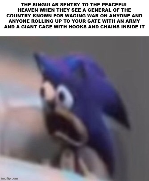 Day 474 of Arcane memes until the next season/series comes out. | THE SINGULAR SENTRY TO THE PEACEFUL HEAVEN WHEN THEY SEE A GENERAL OF THE COUNTRY KNOWN FOR WAGING WAR ON ANYONE AND ANYONE ROLLING UP TO YOUR GATE WITH AN ARMY AND A GIANT CAGE WITH HOOKS AND CHAINS INSIDE IT | image tagged in traumatised sonic,arcane | made w/ Imgflip meme maker