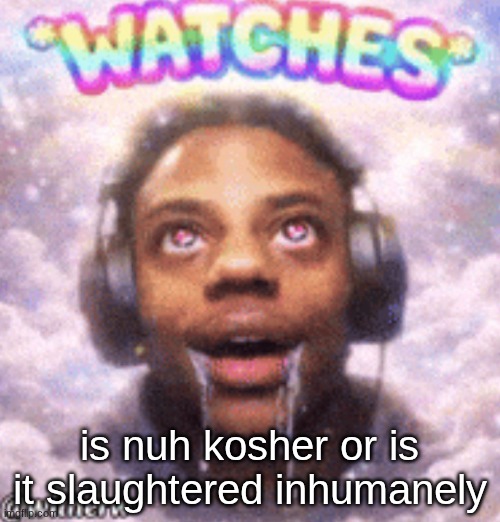 if I nuh in a jar with alcohol is that a humane way of killing it before drinking? | is nuh kosher or is it slaughtered inhumanely | image tagged in overspeedulated | made w/ Imgflip meme maker