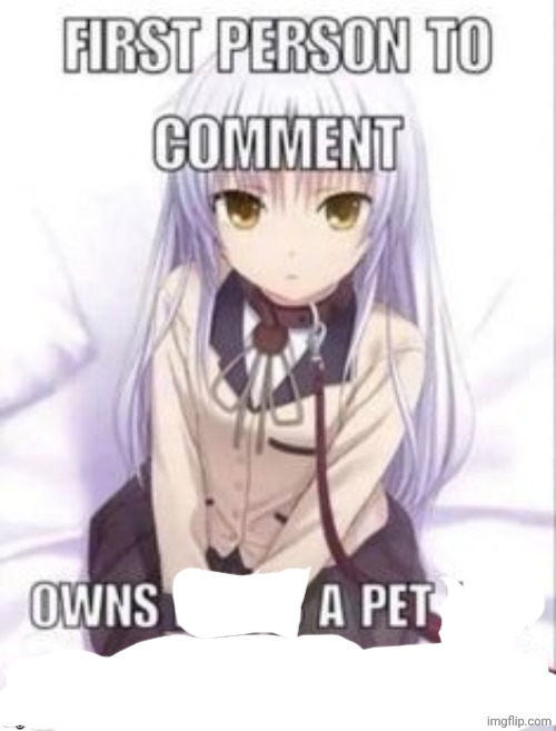 first person to comment owns as a pet for a week | image tagged in first person to comment owns as a pet for a week | made w/ Imgflip meme maker