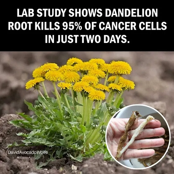 Old Friends Blank Meme Template