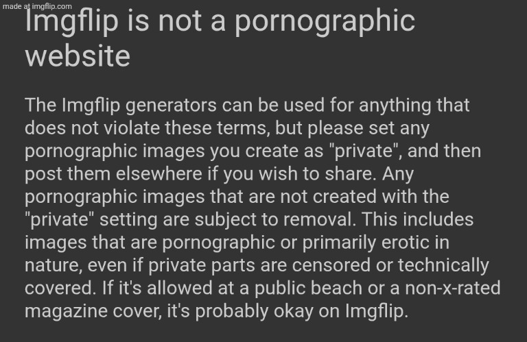 Imgflip is not a pornsite | image tagged in imgflip is not a pornsite | made w/ Imgflip meme maker