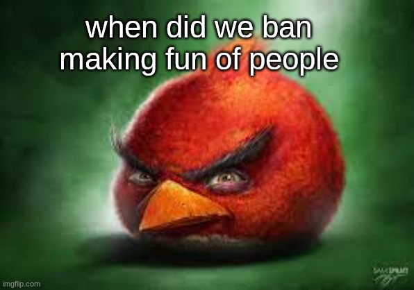 imagine happily living posting gm and complimenting in comments every day. msmg wud get so fucking boring | when did we ban making fun of people | image tagged in realistic red angry birds | made w/ Imgflip meme maker