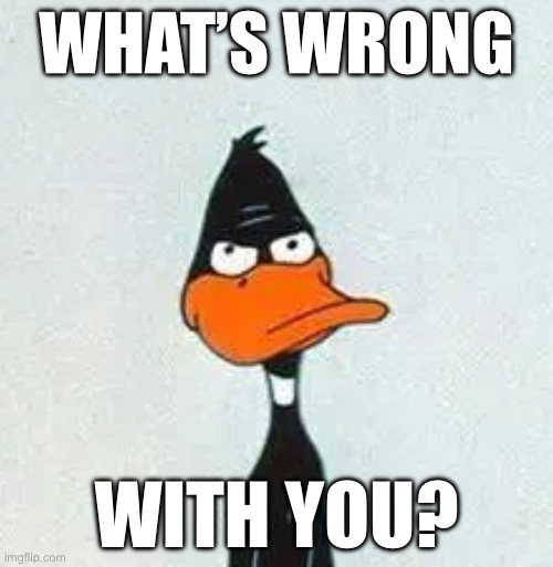 What’s Wrong With You? (Daffy Duck Meme) | WHAT’S WRONG; WITH YOU? | image tagged in daffy duck hatred meme,daffy duck,looney tunes,memes | made w/ Imgflip meme maker