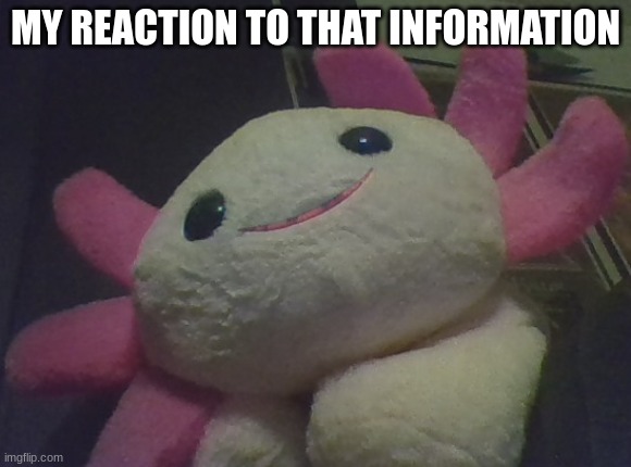 MY REACTION TO THAT INFORMATION | made w/ Imgflip meme maker
