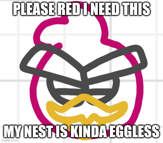 why you trying not to laugh | PLEASE RED I NEED THIS; MY NEST IS KINDA EGGLESS | image tagged in birds | made w/ Imgflip meme maker