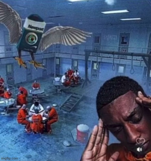 imagine toady actually did leave and we're just bullying the shit out of some random | image tagged in newport summoning | made w/ Imgflip meme maker