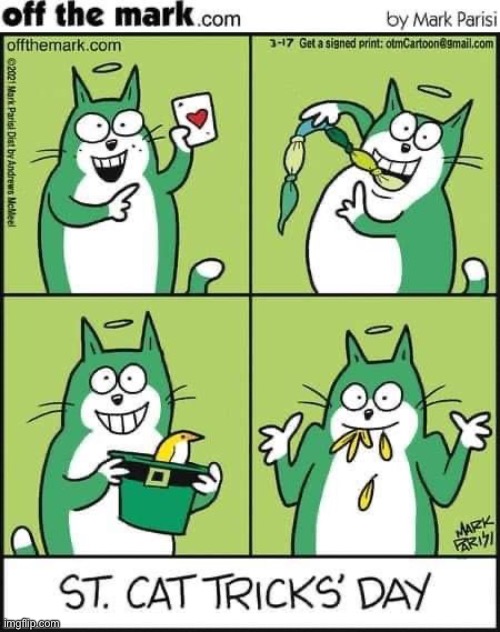Cat magic | image tagged in cats,comics,off the mark,st patricks day,cat tricks,magic | made w/ Imgflip meme maker