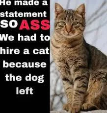 he made a statement cat Blank Meme Template