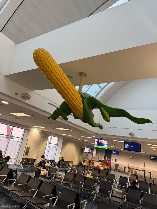 Flying Corn | image tagged in corn,flying,airport,what the fu- | made w/ Imgflip meme maker