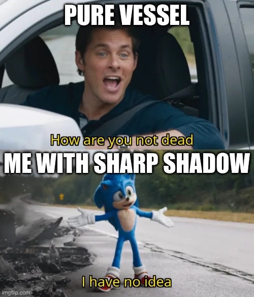 Just keep dashing, just keep dashing, oh, look at that…! | PURE VESSEL; ME WITH SHARP SHADOW | image tagged in sonic i have no idea | made w/ Imgflip meme maker