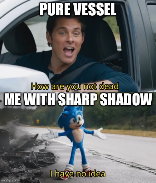 Just keep dashing, just keep dashing, oh, won’t you look at that…! | PURE VESSEL; ME WITH SHARP SHADOW | image tagged in sonic i have no idea | made w/ Imgflip meme maker