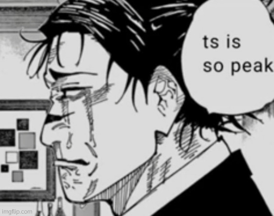 image tagged in ts is so peak | made w/ Imgflip meme maker