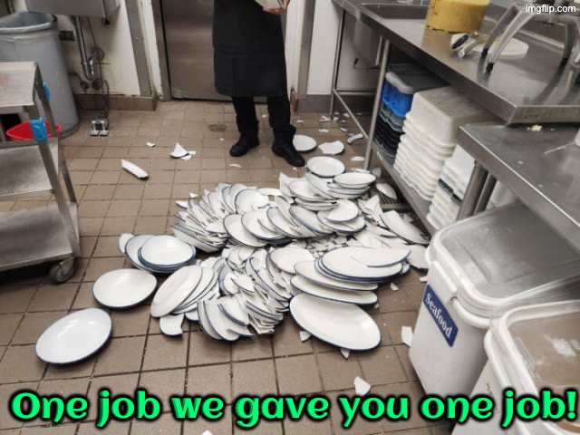 Dishwasher Job Fail | One job we gave you one job! | image tagged in you had one job,task failed successfully,washing dishes,you're fired,broken,clumsy | made w/ Imgflip meme maker