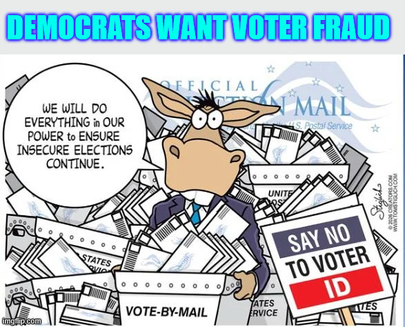 DEMOCRATS WANT VOTER FRAUD | made w/ Imgflip meme maker