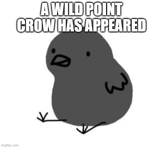 A wild pointcrow meme has appeared | A WILD POINT CROW HAS APPEARED | image tagged in a wild pointcrow meme has appeared | made w/ Imgflip meme maker