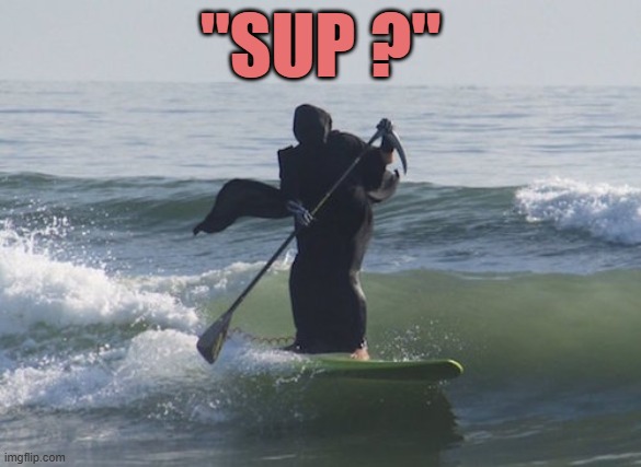 "SUP ?" | image tagged in surfing grim reaper | made w/ Imgflip meme maker