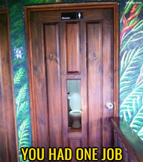 What in the world | YOU HAD ONE JOB | image tagged in you had one job,bathrooms,duhhh dumbass,do you are have stupid,peeping tom,what the hell happened here | made w/ Imgflip meme maker