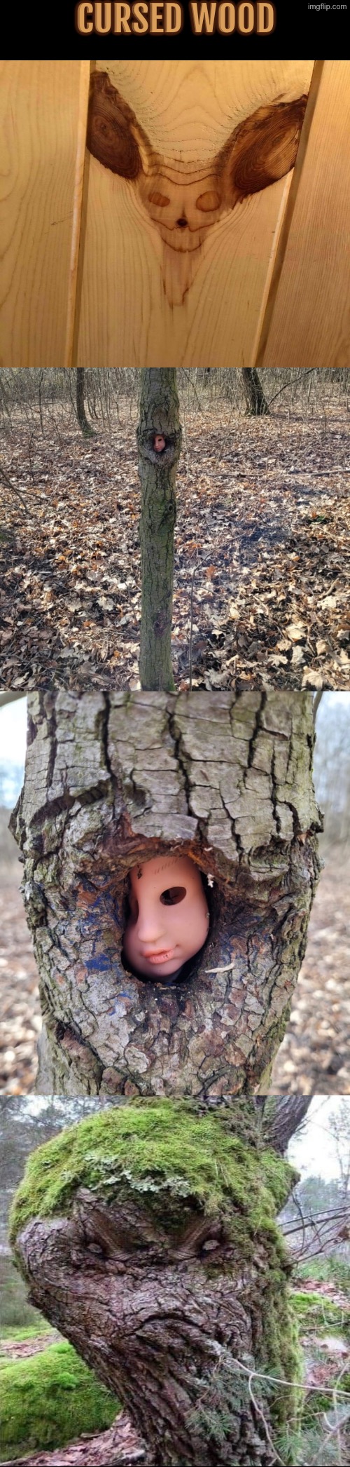Cursed Wood | CURSED WOOD | image tagged in cursed images,trees,creepy face,nightmare fuel,what a terrible day to have eyes,drink bleach | made w/ Imgflip meme maker
