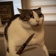 Is this cat holding a knife Blank Meme Template