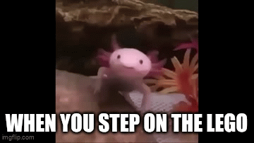 lego | WHEN YOU STEP ON THE LEGO | image tagged in gifs,axolotl | made w/ Imgflip video-to-gif maker