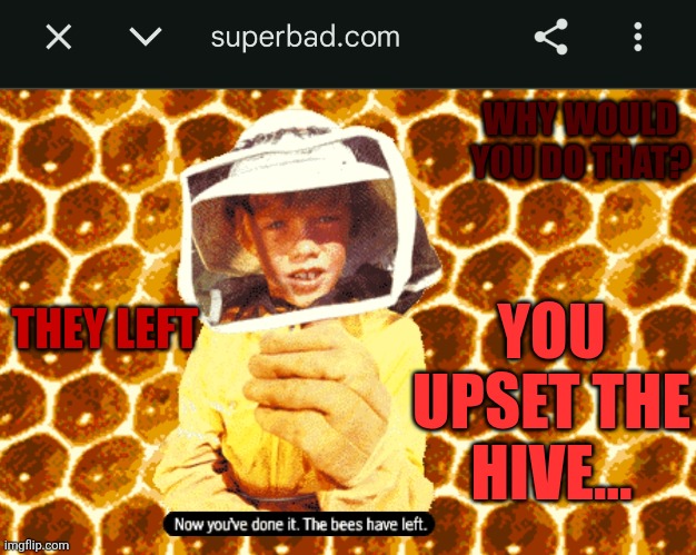 Now you've done it... | WHY WOULD YOU DO THAT? THEY LEFT; YOU UPSET THE HIVE... | image tagged in the bees,the queen,the hive,bzzzz,bzzzzzzz,bzzzzzzzzzzz | made w/ Imgflip meme maker