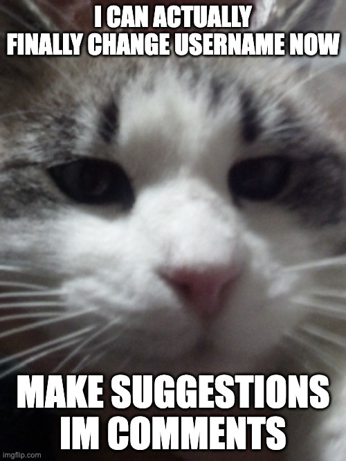 Sour Hart announcement template | I CAN ACTUALLY FINALLY CHANGE USERNAME NOW; MAKE SUGGESTIONS IM COMMENTS | image tagged in sour hart announcement template | made w/ Imgflip meme maker