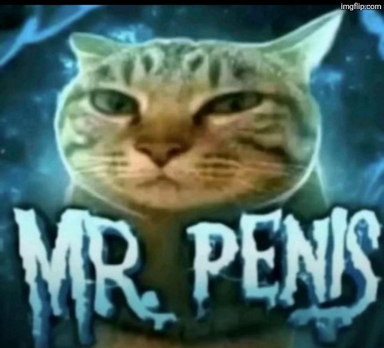 Mr. Penis | image tagged in mr penis | made w/ Imgflip meme maker