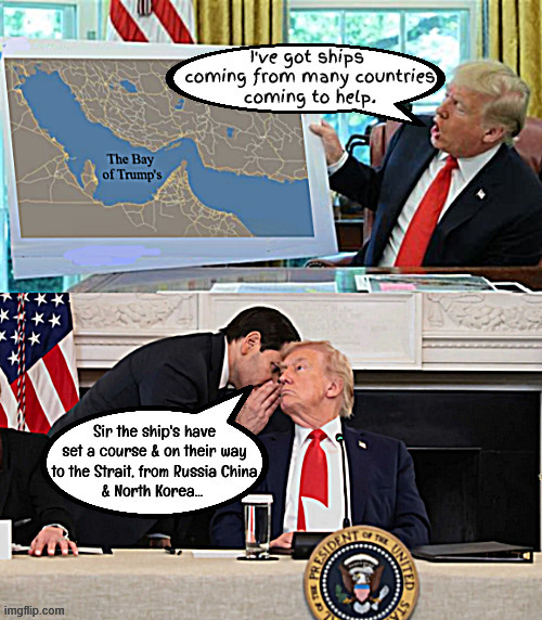 Trump calls for help and lies and gets an response | image tagged in trump calls for help and lies and gets an response,fake news media,operation failure,trump takes a dump | made w/ Imgflip meme maker