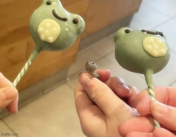 I took my son into the starbucks | made w/ Imgflip meme maker