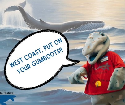 whale Blank Meme Template