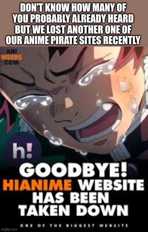 I only found out about this today | DON'T KNOW HOW MANY OF YOU PROBABLY ALREADY HEARD BUT WE LOST ANOTHER ONE OF OUR ANIME PIRATE SITES RECENTLY | made w/ Imgflip meme maker