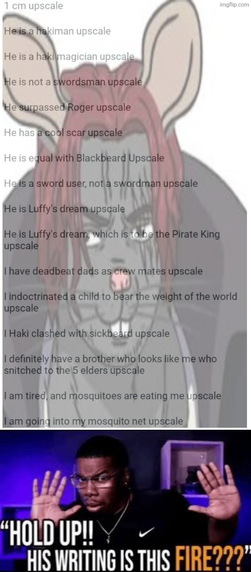 image tagged in memes,one piece,rat | made w/ Imgflip meme maker
