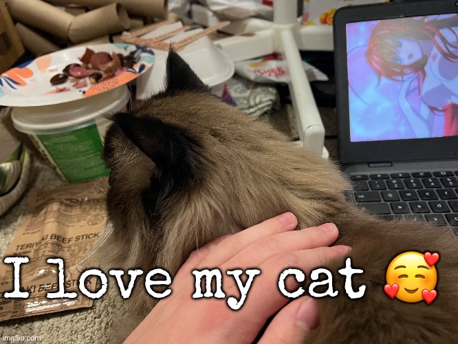 I love my cat 🥰 | made w/ Imgflip meme maker